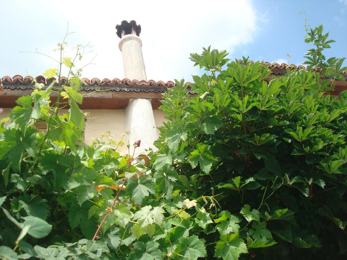 Oikia Alexandrou Traditional Inn 아나이아 외부 사진