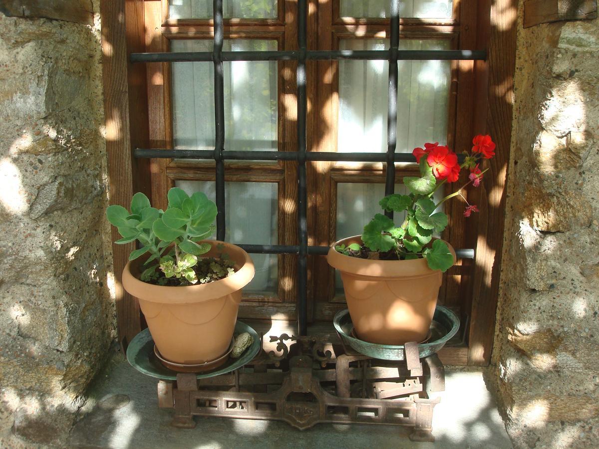 Oikia Alexandrou Traditional Inn 아나이아 외부 사진