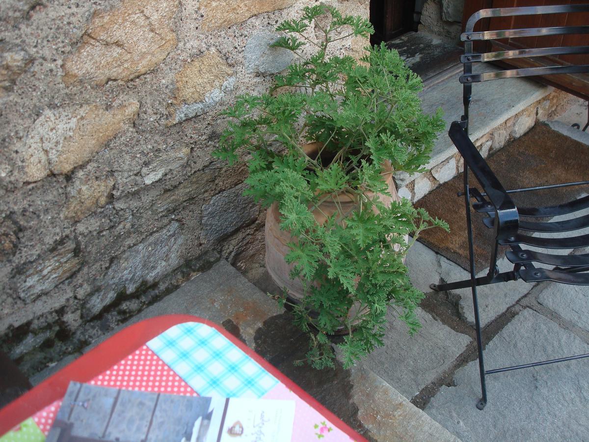 Oikia Alexandrou Traditional Inn 아나이아 외부 사진